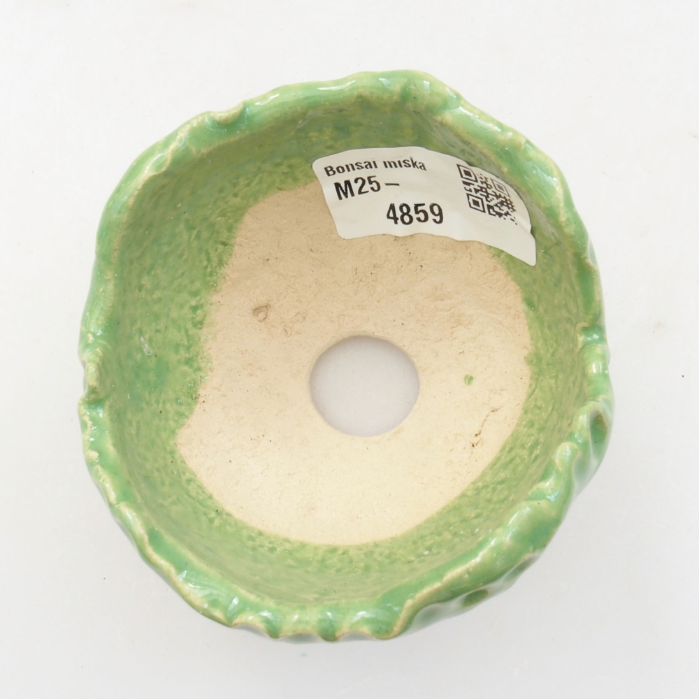 Keramická Škrupina 7 x 7 x 5 cm, farba zelená