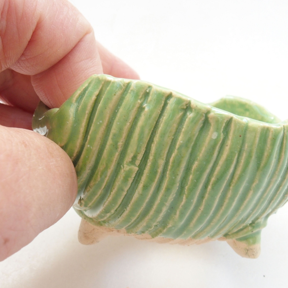 Keramická Škrupina 7,5 x 7 x 4,5 cm, farba zelená