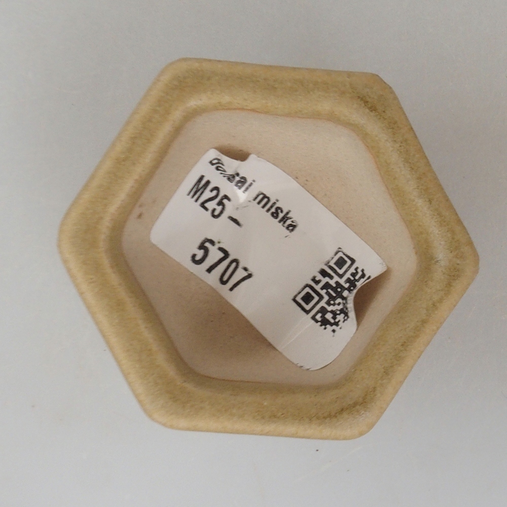Mini bonsai miska 5 x 4,5 x 3  cm, farba hnedá