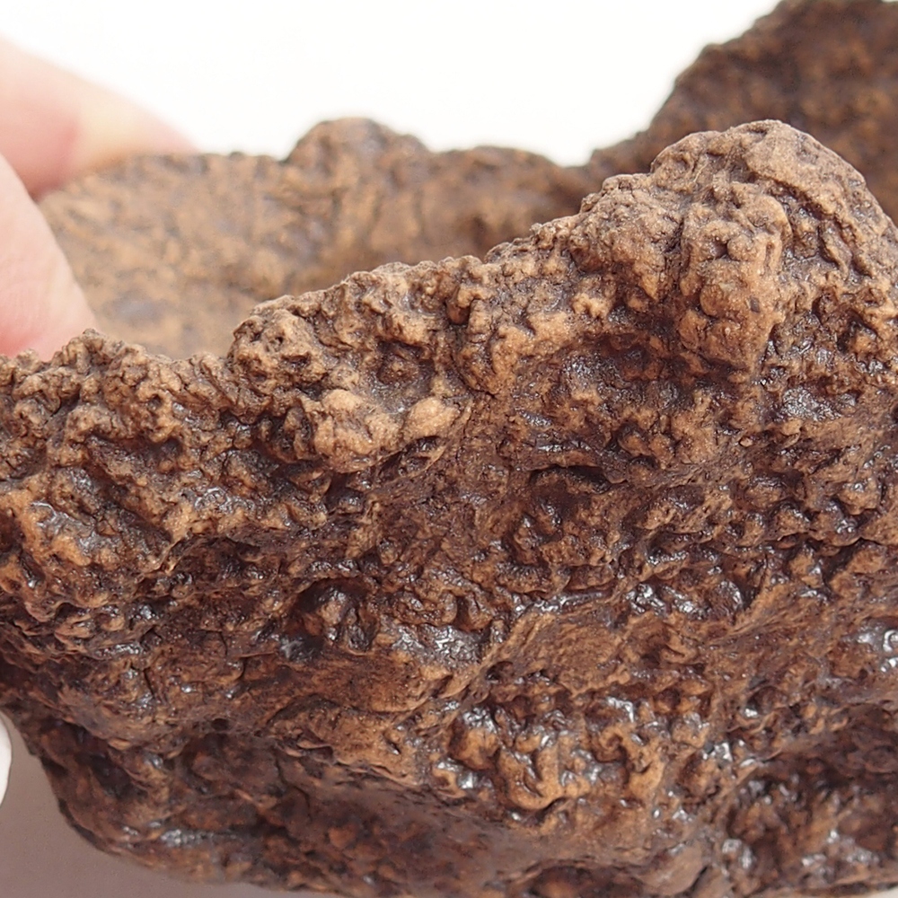 Keramická mušľa 10 x 8 x 9 cm , farba hnedá