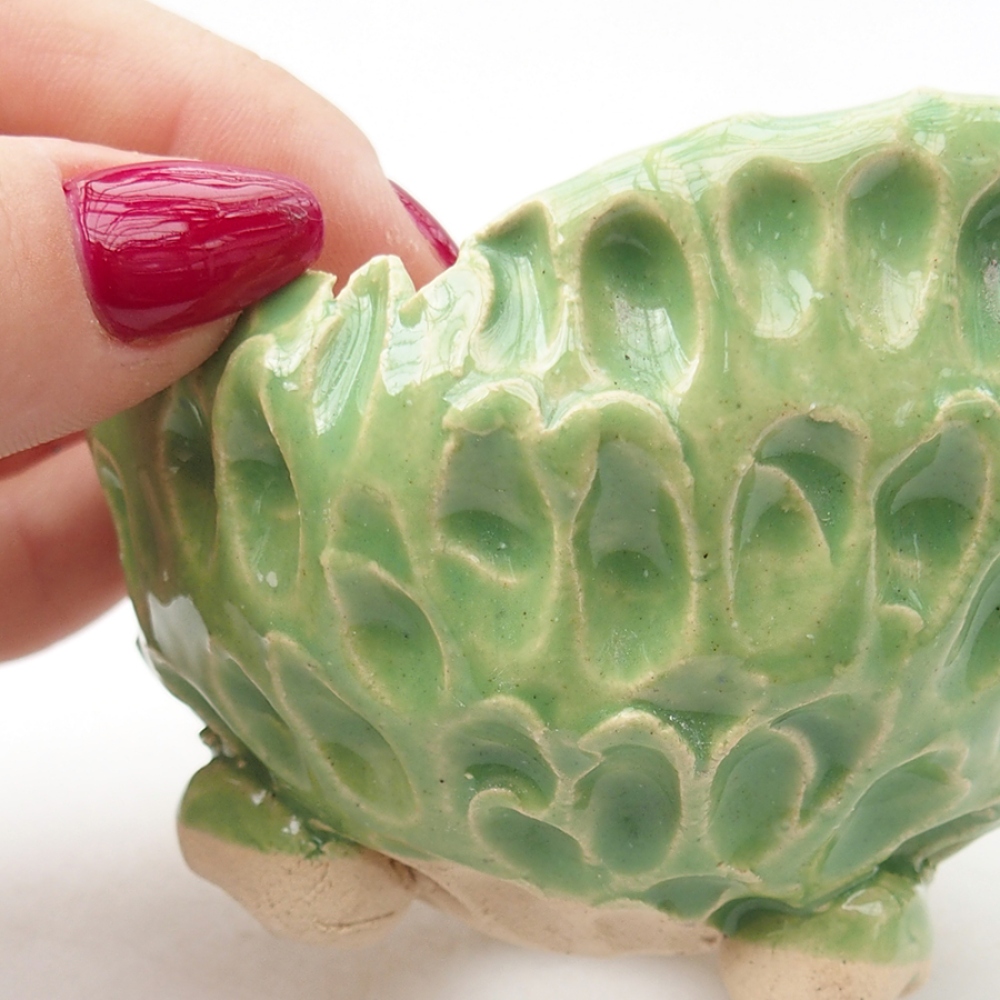 Keramická Škrupina 7,5 x 7 x 6 cm, farba zelená