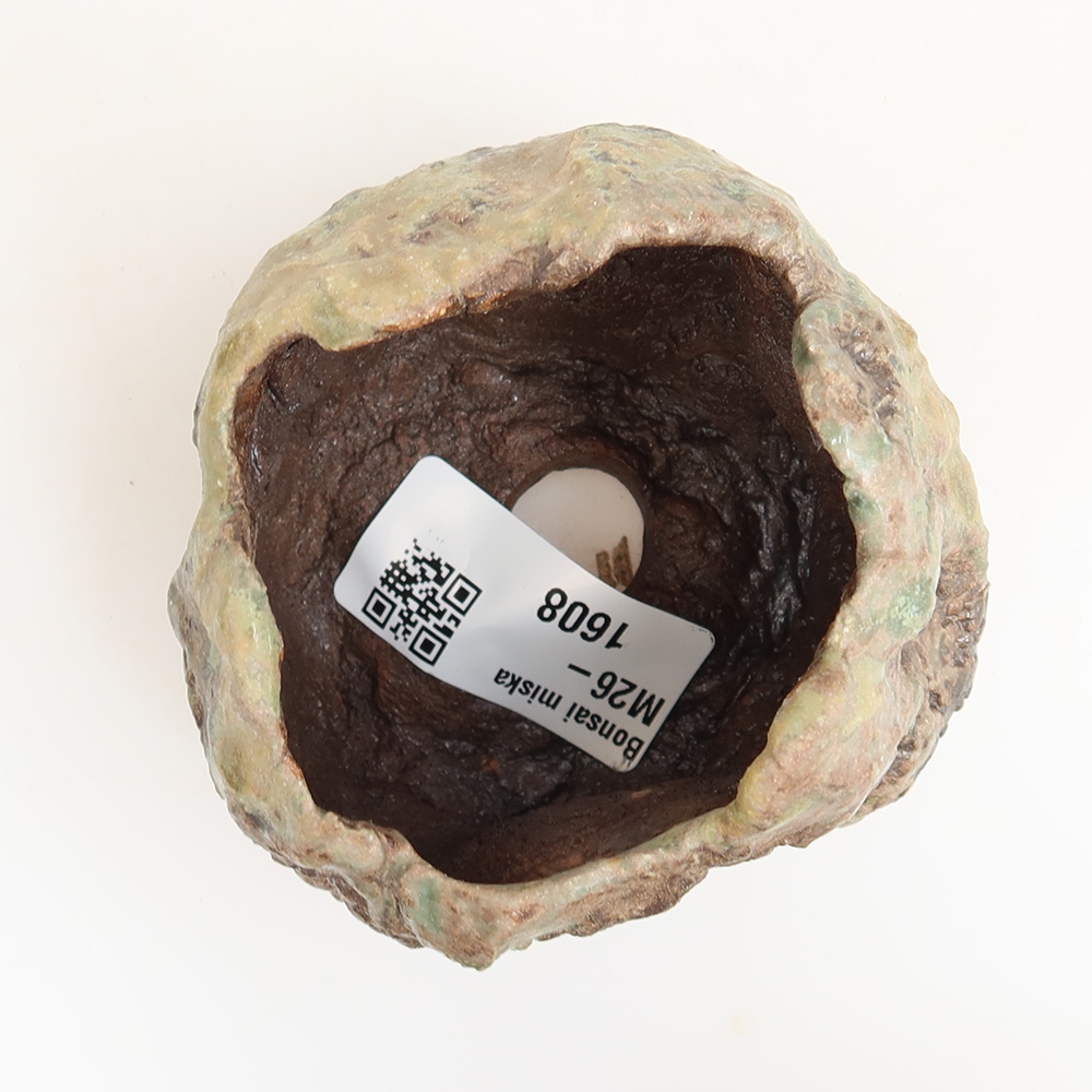 Keramická škrupina  6 x 5 x 6 cm, farba zelená