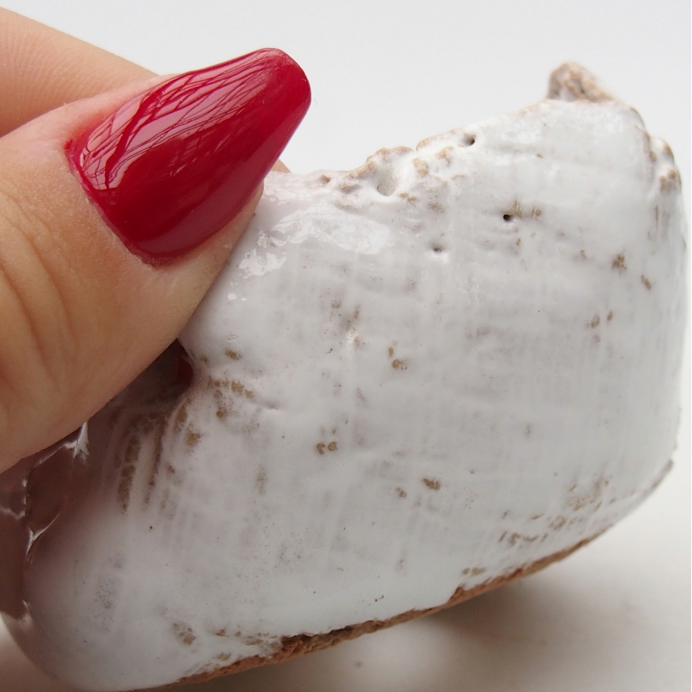 Keramická mušľa 7 x 6,5 x 5 cm , farba biela