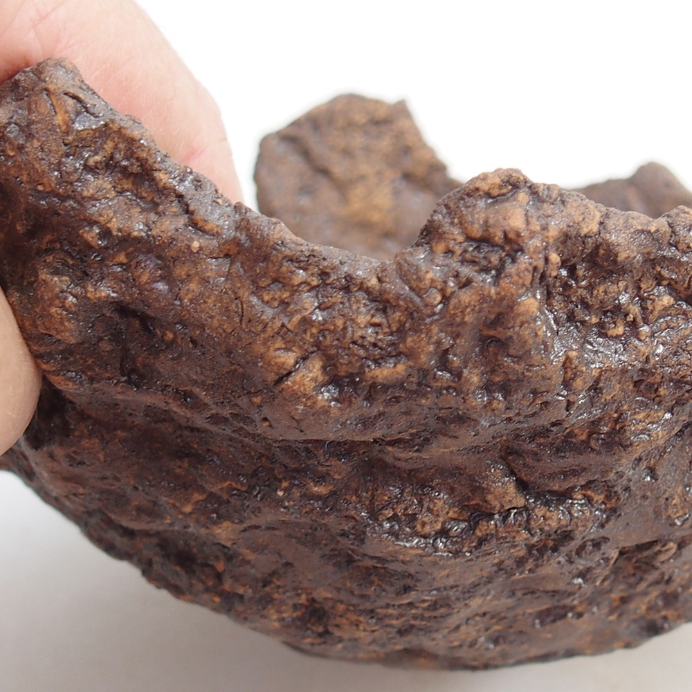 Keramická mušľa 19 x 15 x 14 cm , farba hnedá