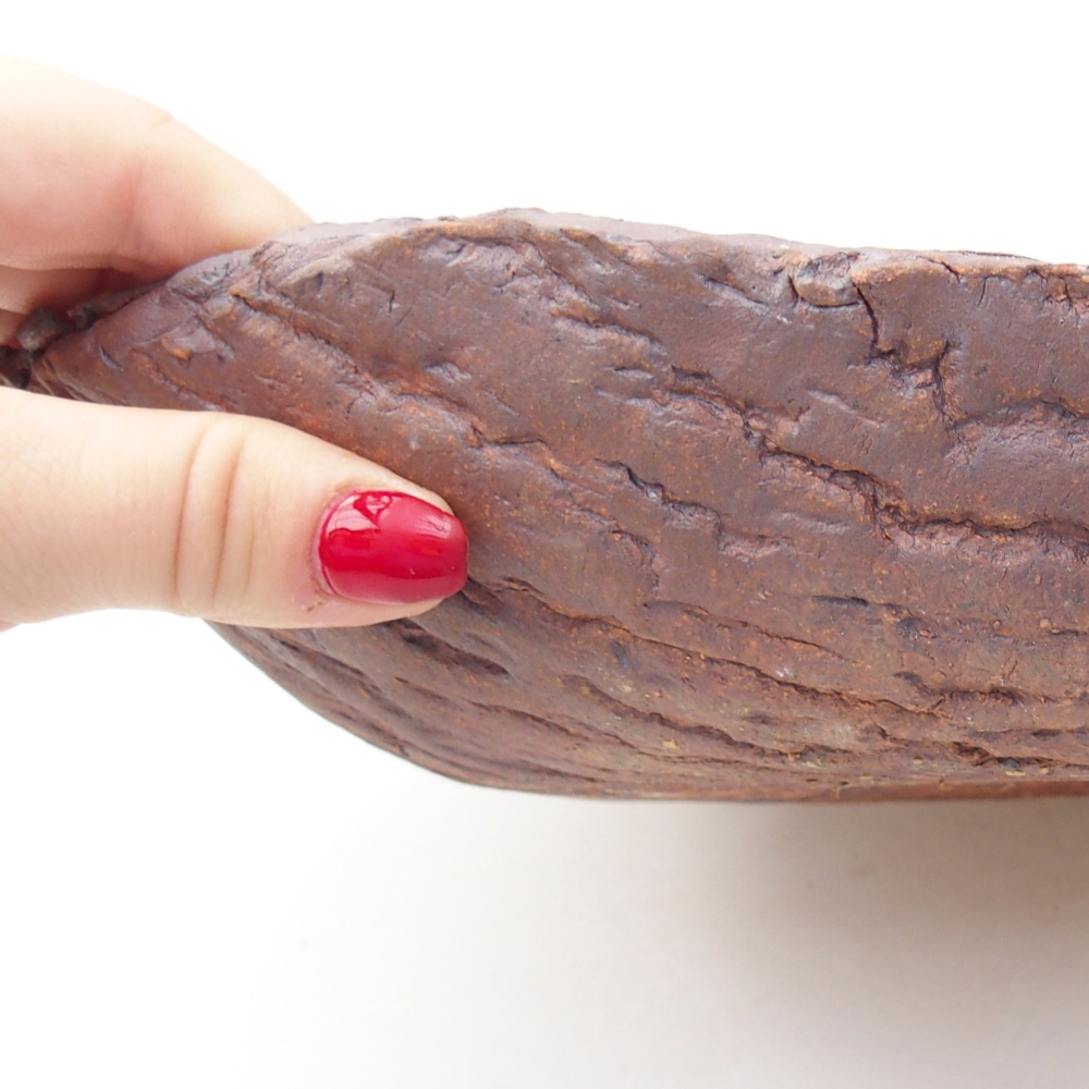 Keramická mušľa 31 x 21 x 7,5 cm , farba hnedá