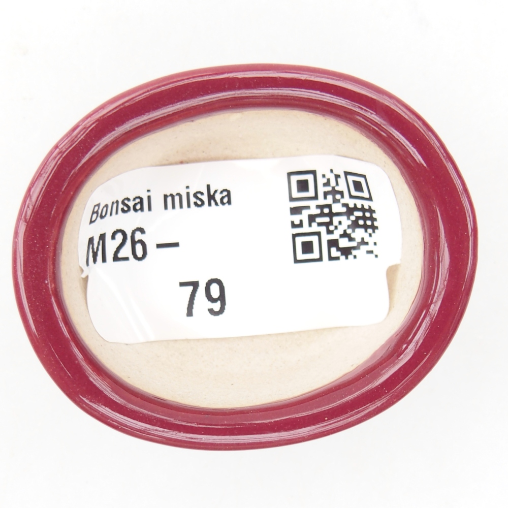 Mini bonsajová miska 4,5 x 4 x 2 cm, bordová