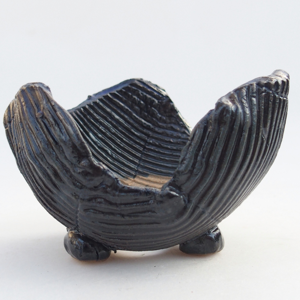 Keramická mušľa 10,5 x 9,5 x 6,5 cm , farba modrá