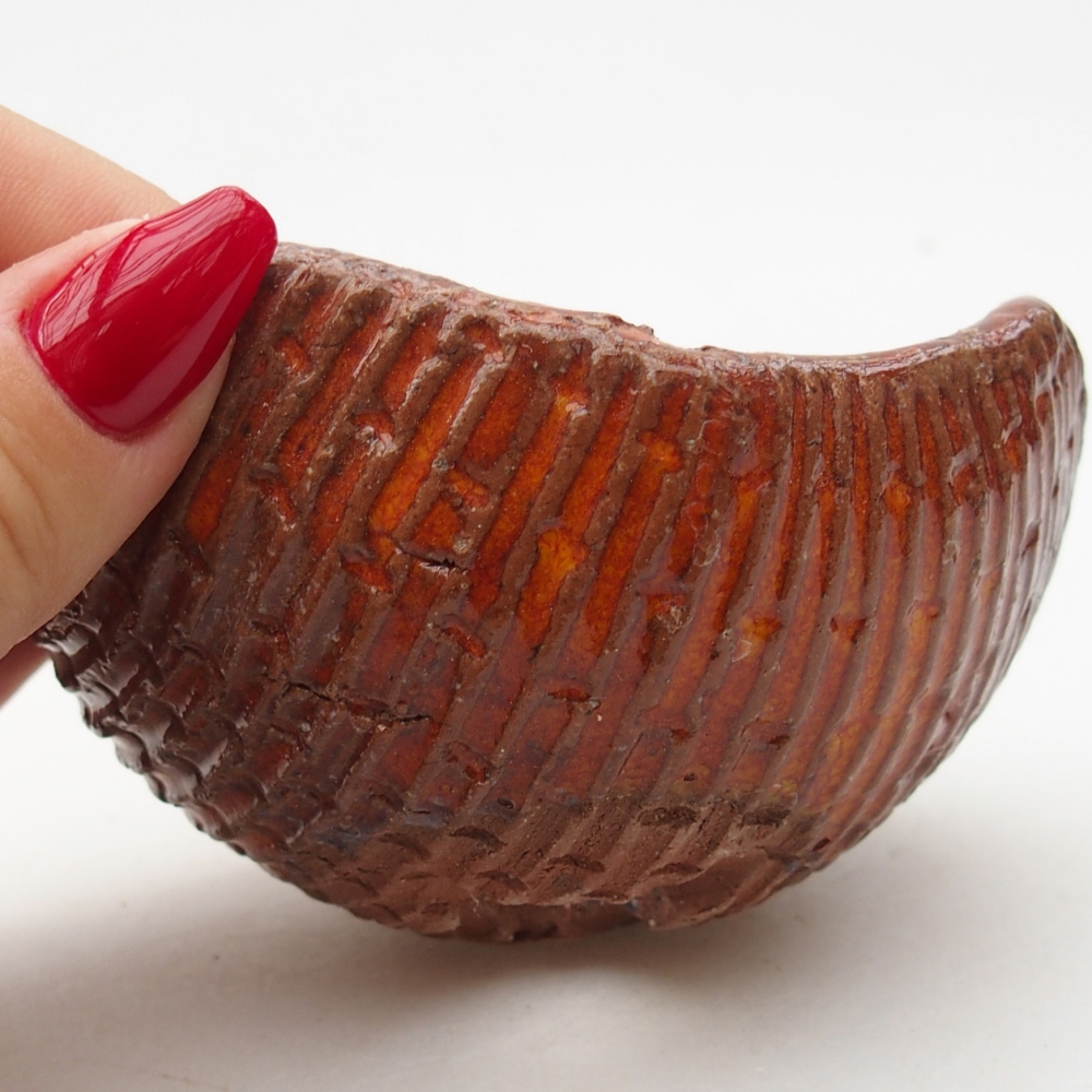 Keramická mušľa 9 x 9 x 5 cm , farba oranžová