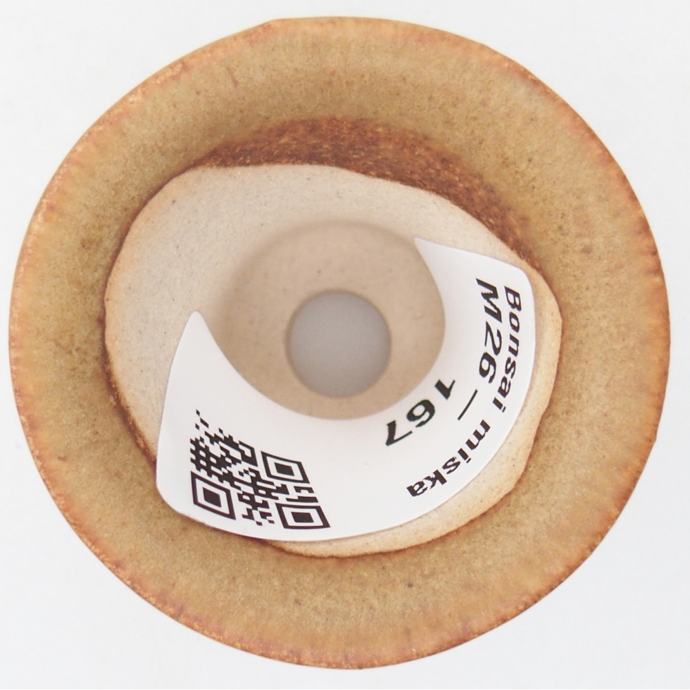 Mini bonsajová miska 4,5 x 4,5 x 4 cm, hnedá