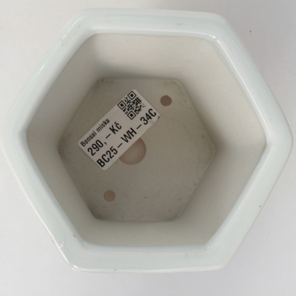 Keramická miska na bonsaje 10,5 x 9,5 x 9 cm, farba biela
