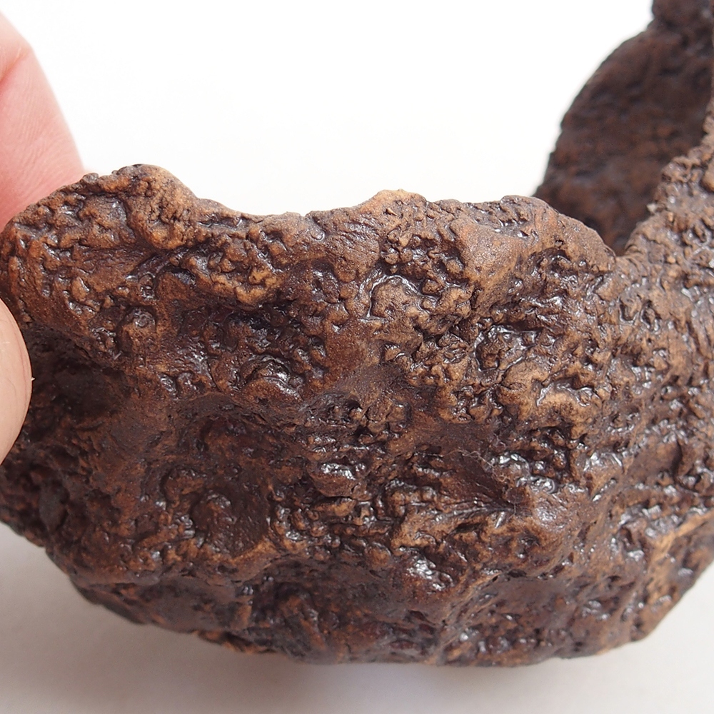 Keramická mušľa 10 x 8 x 9,5 cm , farba hnedá