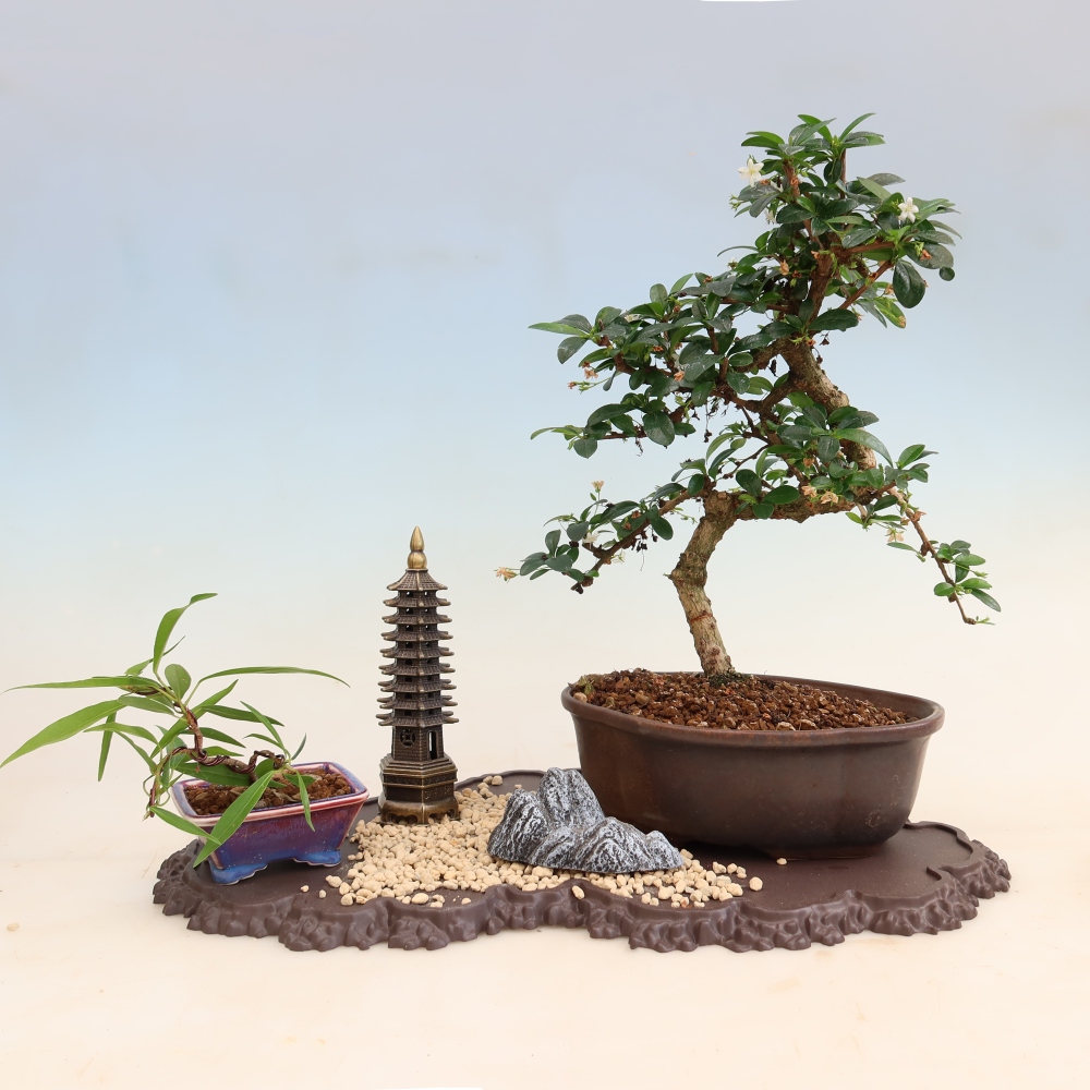 Plastový podstavec pod bonsai 43 x 25 x 1,5 cm, farba hnedá