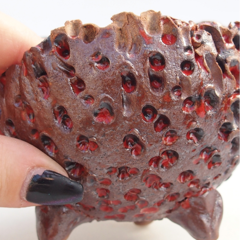 Keramická mušľa 10 x 9,5 x 8 cm , farba hnedá