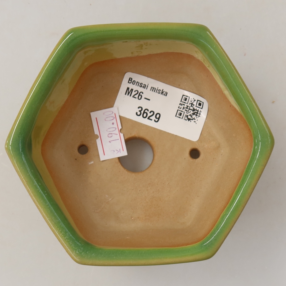 Keramická miska na bonsaje 10 x 9 x 5 cm, farba zelená