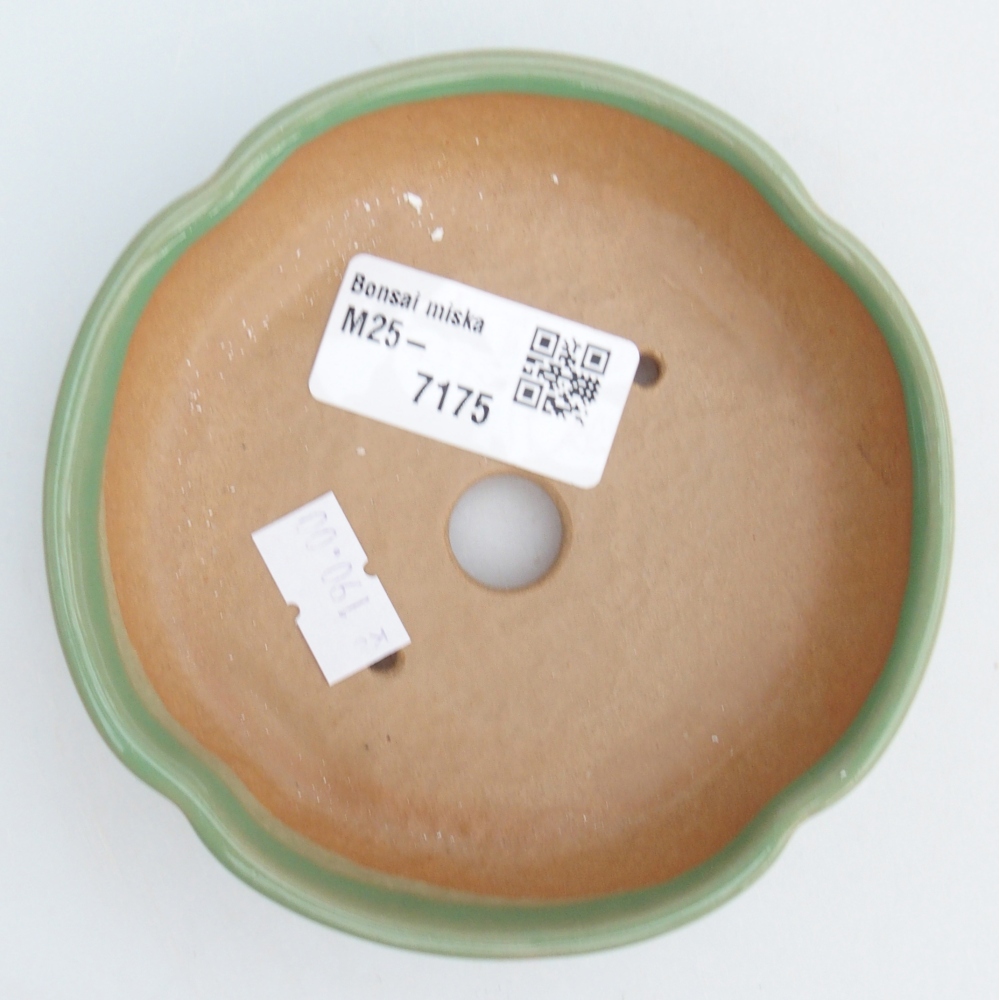 Keramická miska na bonsaje 11 x 11 x 3 cm, zelená