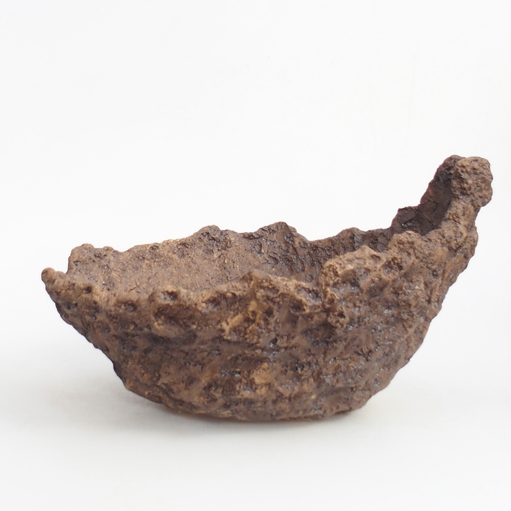 Keramická mušľa 19 x 15 x 14 cm , farba hnedá