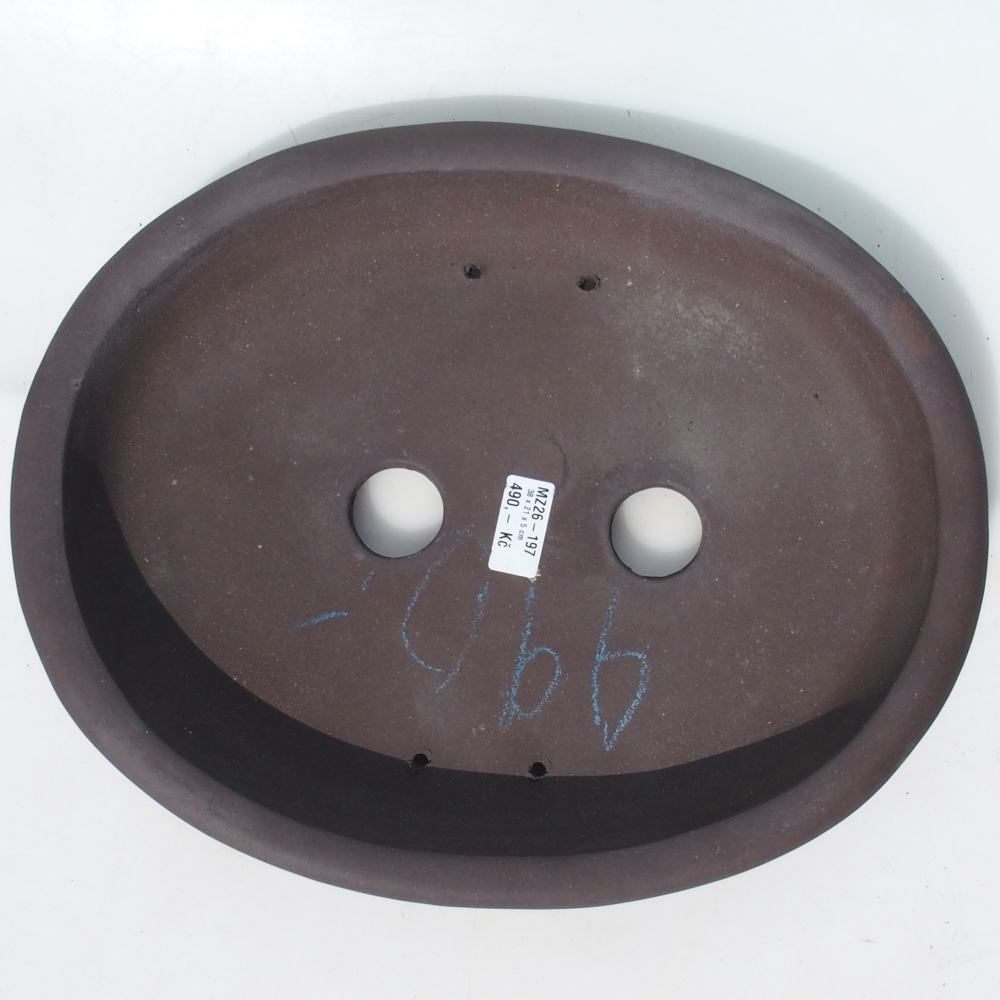 Miska na bonsaj 38 x 21 x 5 cm breza hnedá