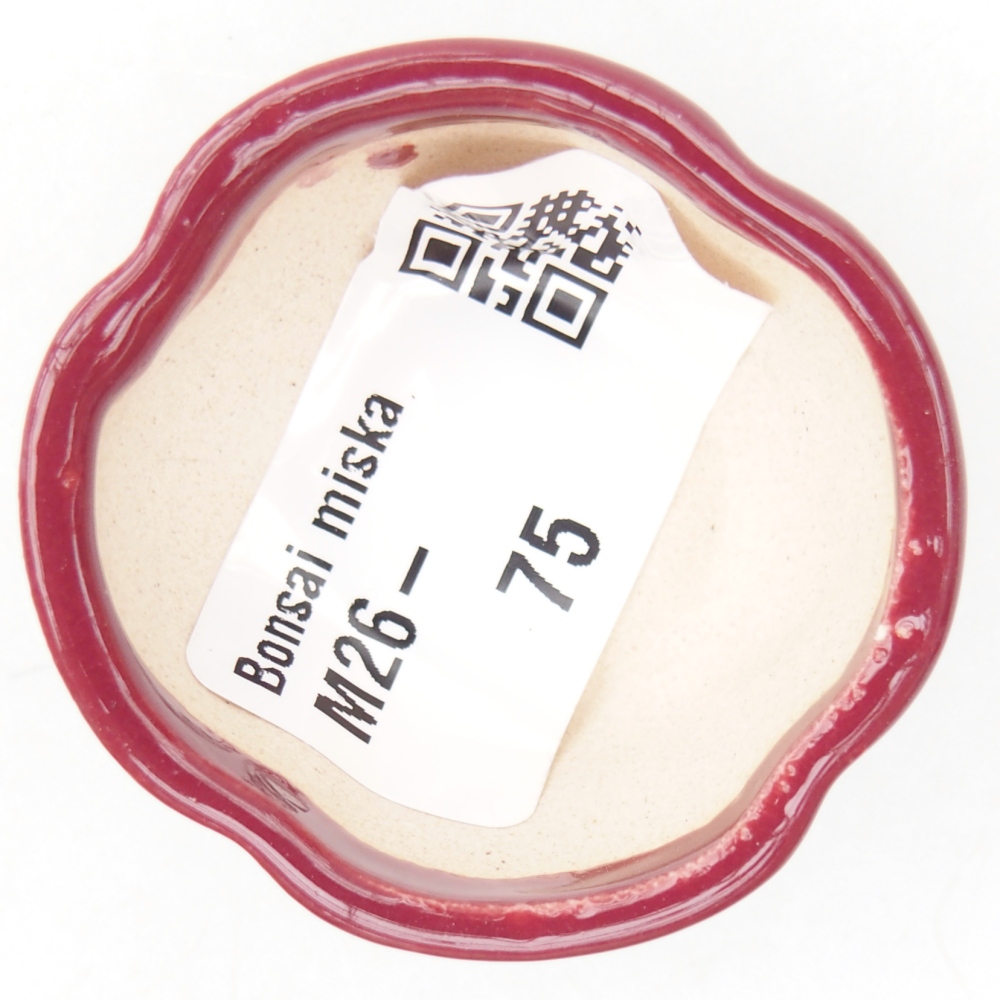 Mini bonsajová miska 4 x 4 x 2 cm, bordová