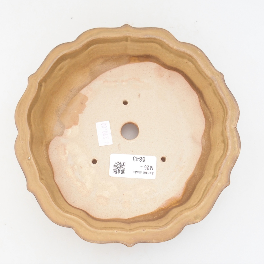 Keramická bonsai miska 18 x 18 x 5 cm, farba béžová