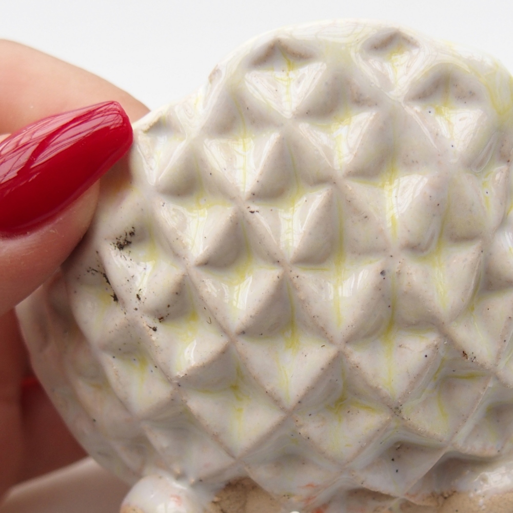Keramická mušľa 8 x 8 x 5 cm, farba zelená
