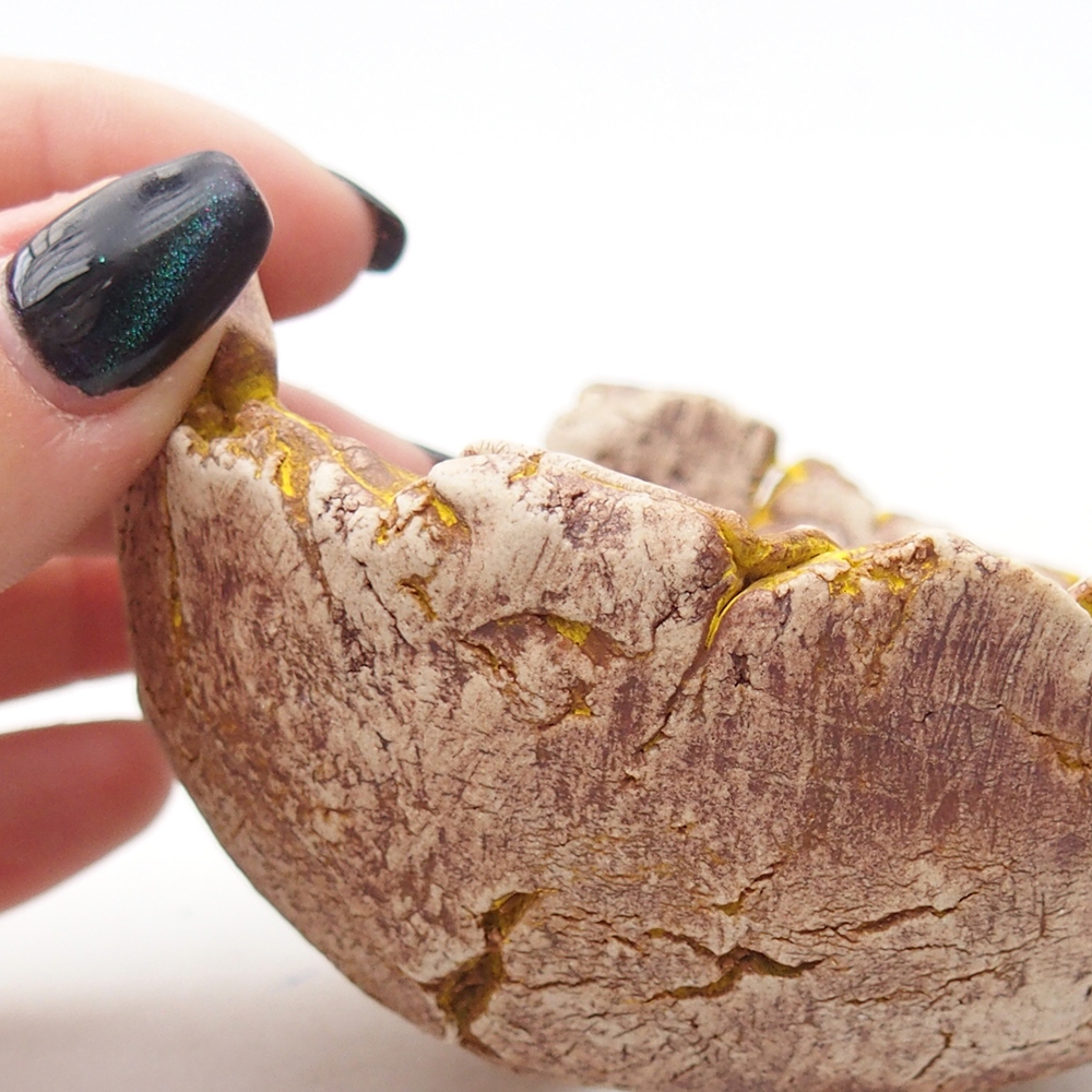 Keramická mušľa 9 x 9 x 5,5 cm , žltá