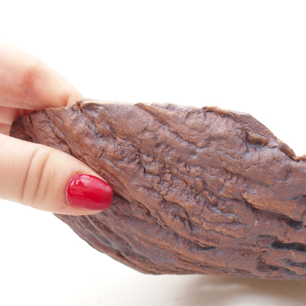 Keramická mušľa 20 x 16 x 6 cm , farba hnedá