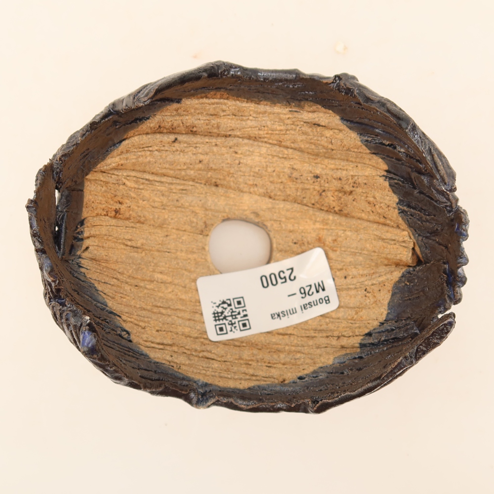 Keramická škrupina  10 x 9 x 7,5 cm, farba čierno-modrá