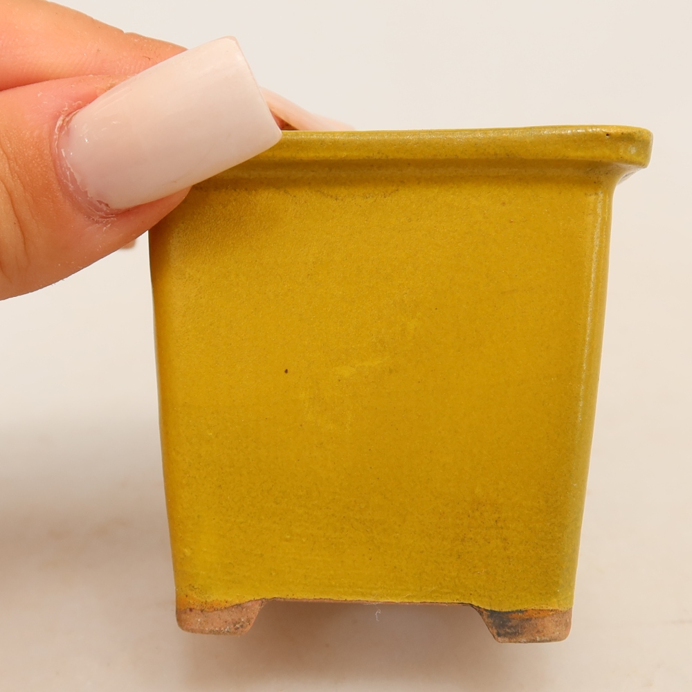 Keramická miska na bonsaje 6 x 6 x 5,5 cm, farba žltá