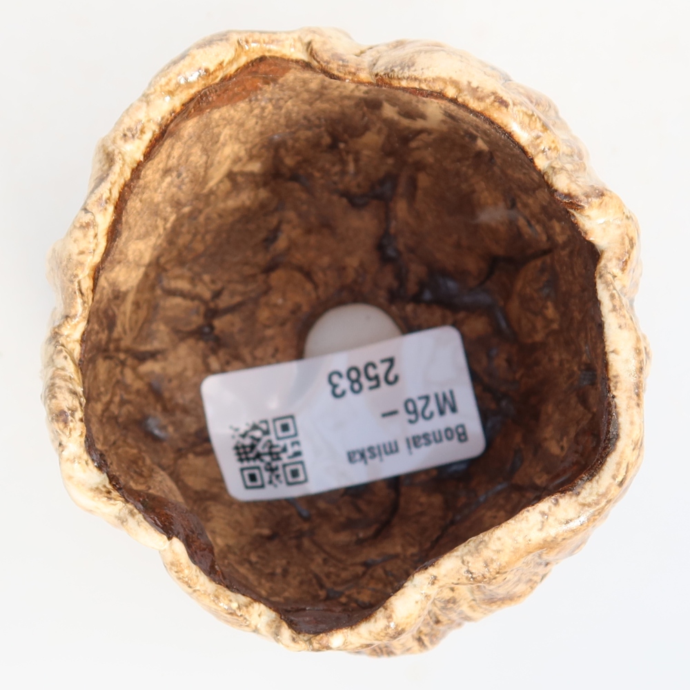 Keramická škrupina  7 x 7 x 6,5 cm, farba bielo-hnedá