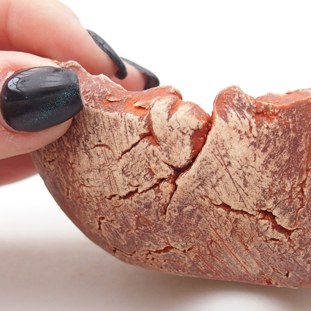 Keramická mušľa 9,5 x 9 x 4 cm, farba oranžová