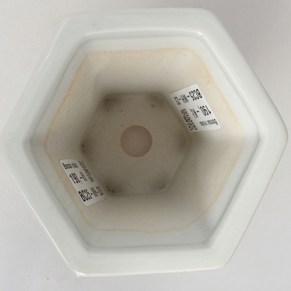 Keramická miska na bonsaje 10 x 9 x 9 cm, farba biela