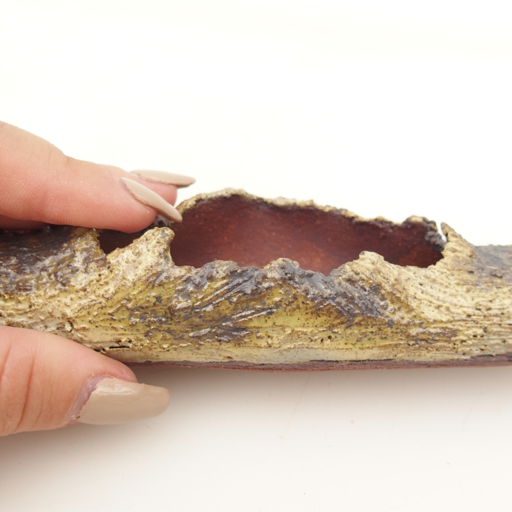 Keramická mušľa 15 x 4,5 x 3 cm , žltá