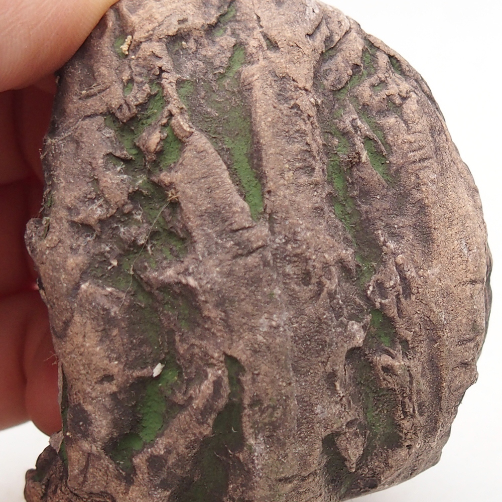 Keramická mušľa 6,5 x 5,5 x 6 cm , farba zelená