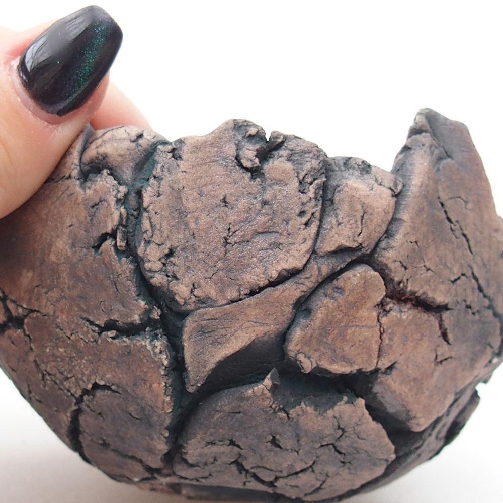 Keramická mušľa 9 x 9 x 6 cm , farba zelená