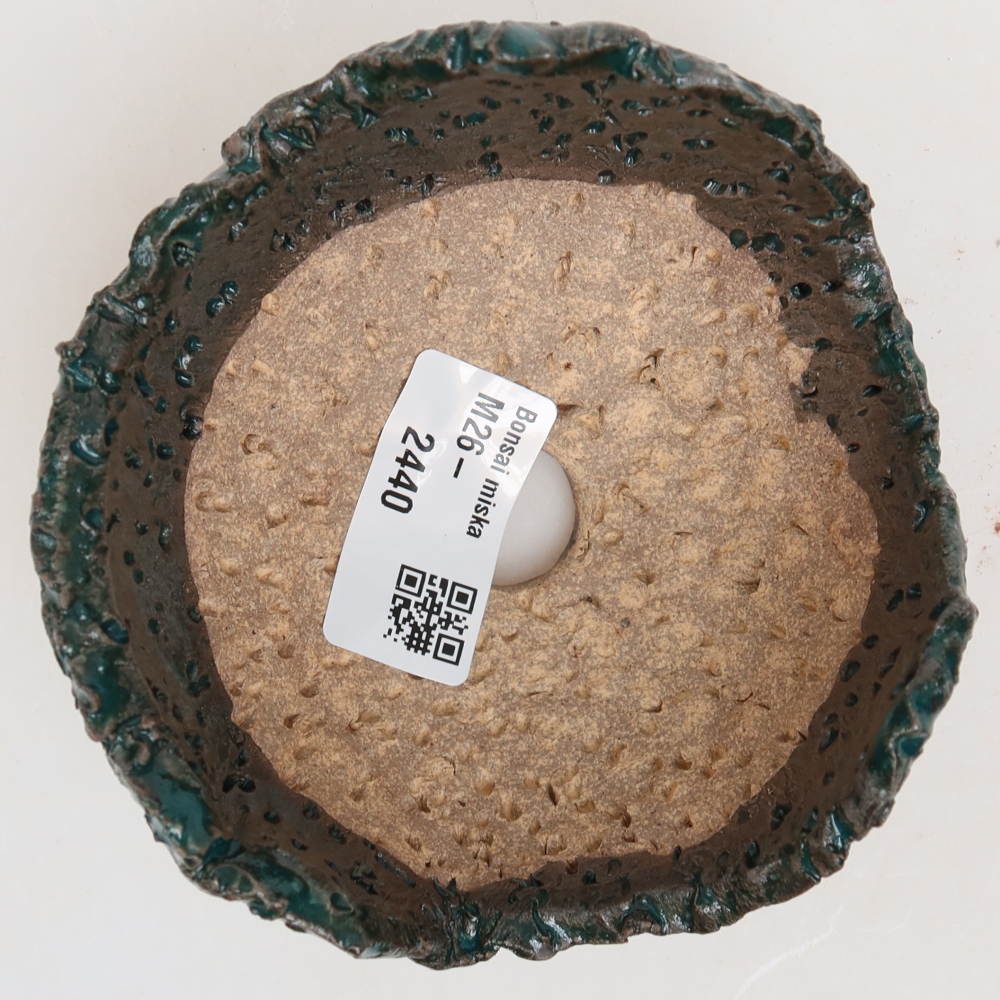 Keramická škrupina  10 x 10 x 6,5 cm, farba zelená