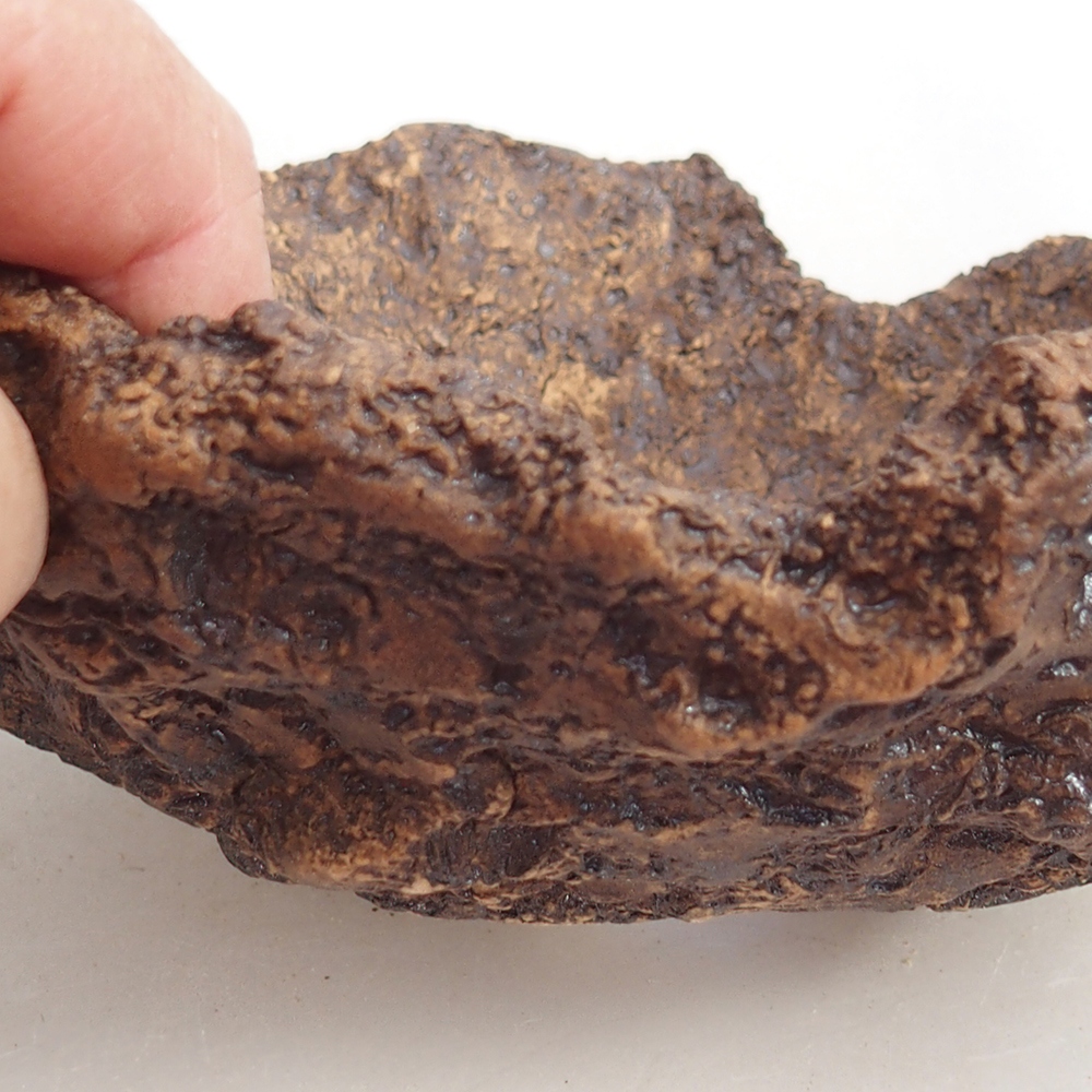 Keramická mušľa 19 x 15 x 14 cm , farba hnedá