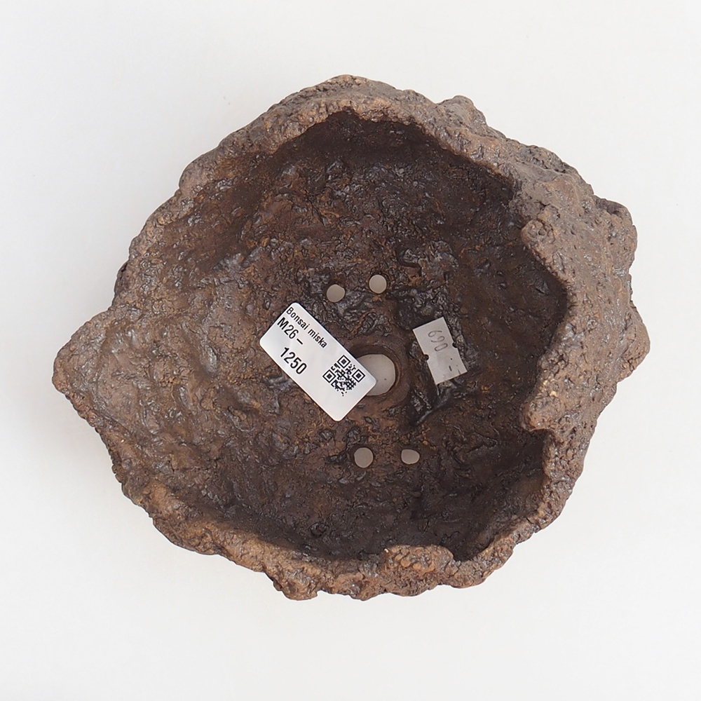 Keramická mušľa 19 x 15 x 14 cm , farba hnedá