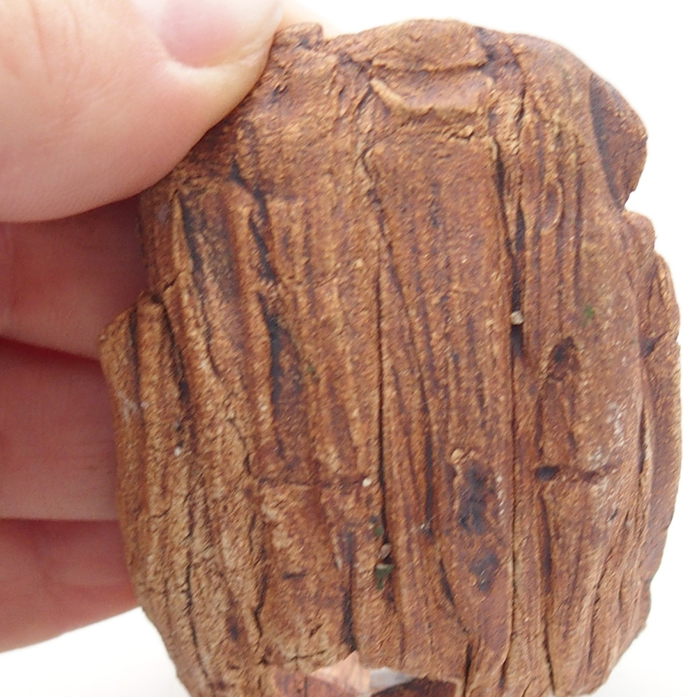 Keramická mušľa 9 x 4,5 x 4,5 cm , farba hnedá