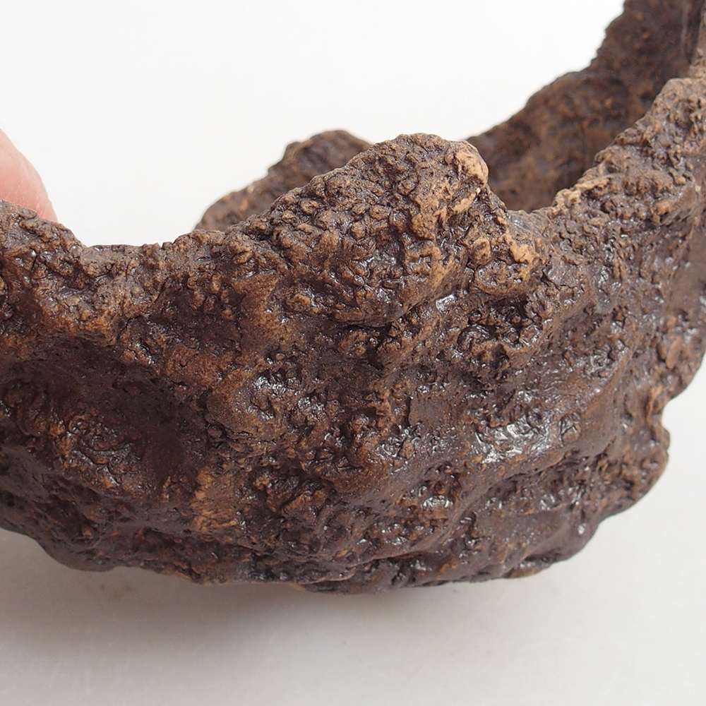 Keramická mušľa 13 x 11 x 11 cm , farba hnedá