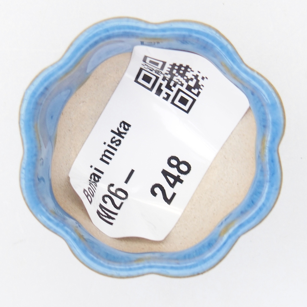 Mini bonsajová miska 4 x 4 x 2 cm, modrá