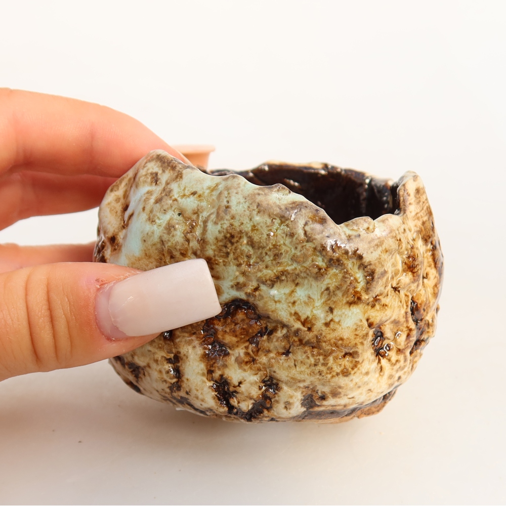 Keramická škrupina  7,5 x 7 x 5,5 cm, farba bielo-hnedá