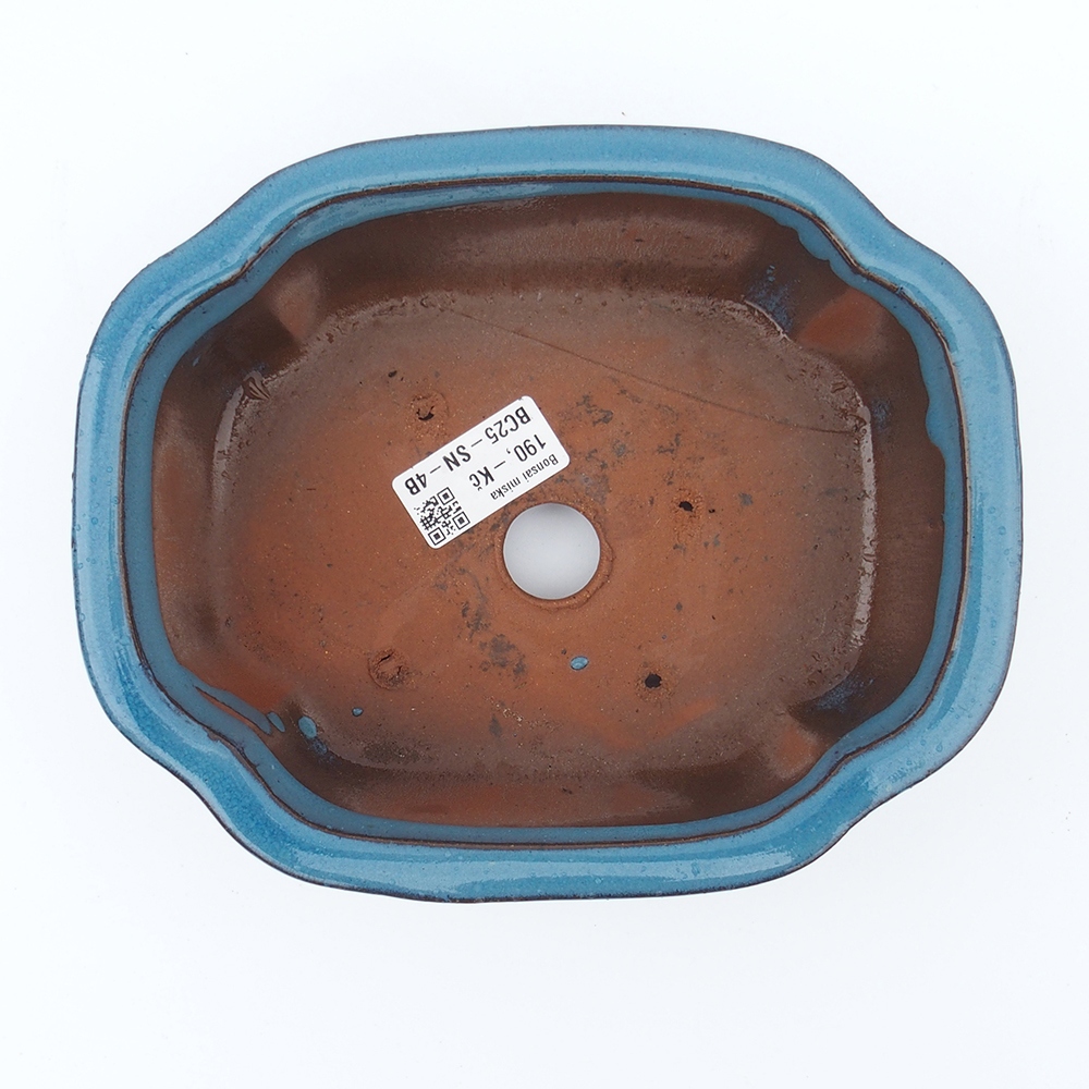 Misa 20 x 16 x 6,5 cm modrá