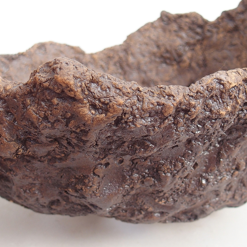 Keramická mušľa 19 x 15 x 14 cm , farba hnedá