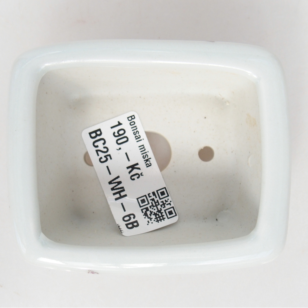Mini bonsajová miska 8 x 6,5 x 3,5 cm, biela
