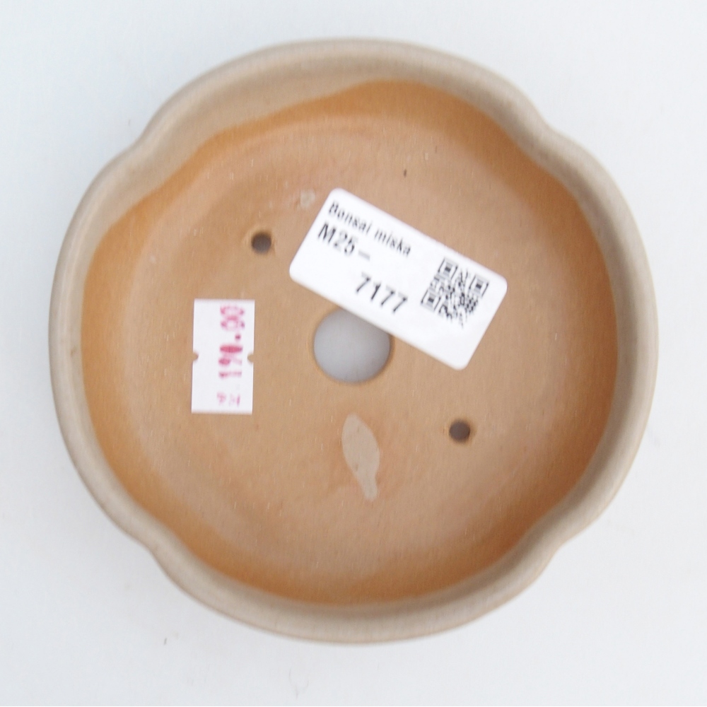 Keramická miska na bonsaje 11 x 11 x 3 cm, farba béžová