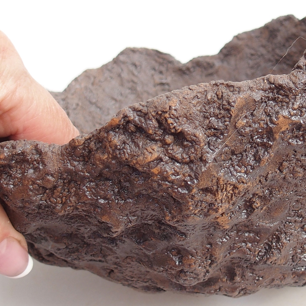 Keramická mušľa 19 x 15 x 14 cm , farba hnedá