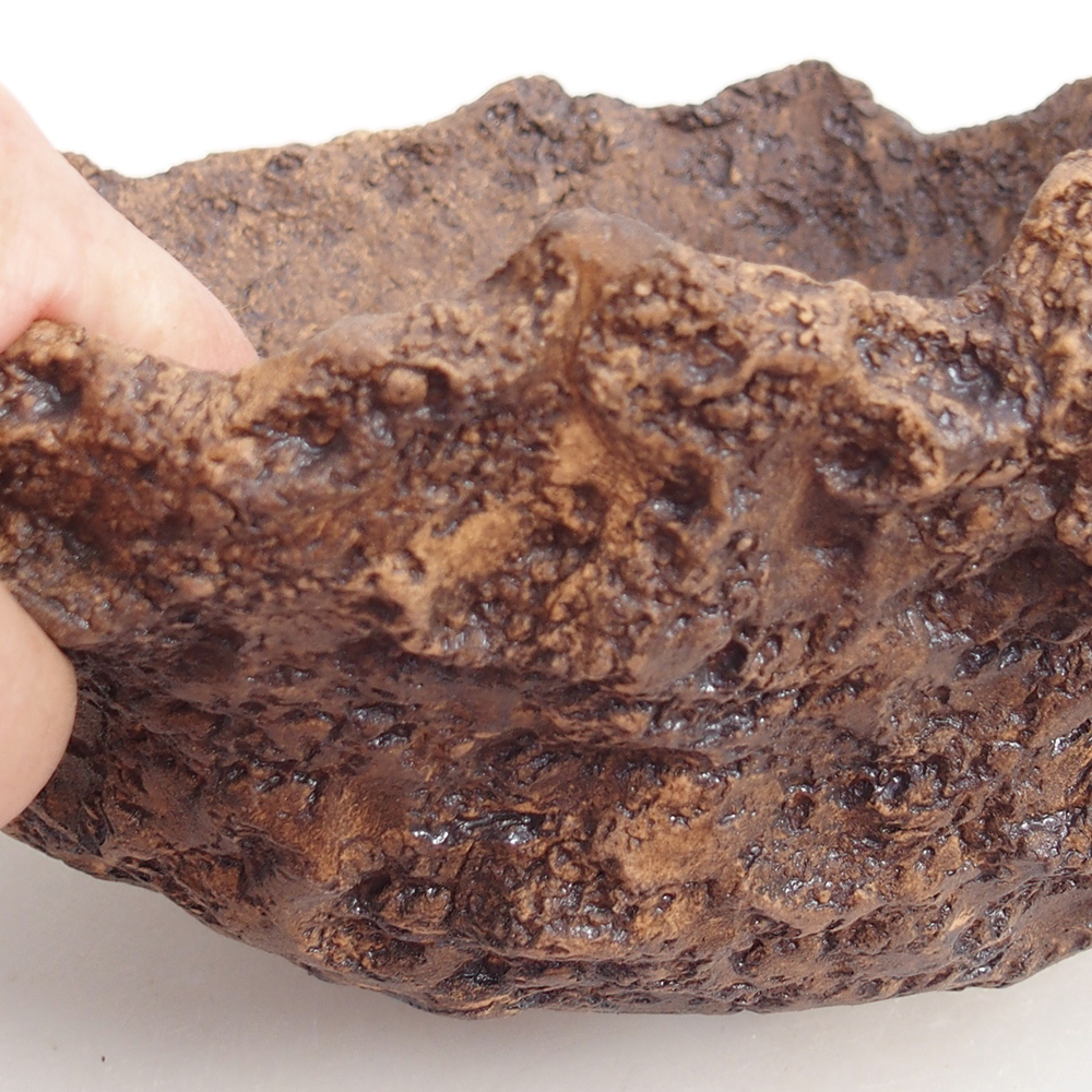 Keramická mušľa 19 x 15 x 14 cm , farba hnedá