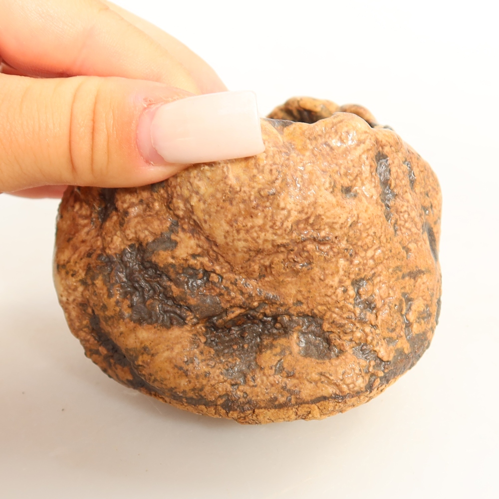 Keramická škrupina  7 x 6 x 6 cm, farba hnedá