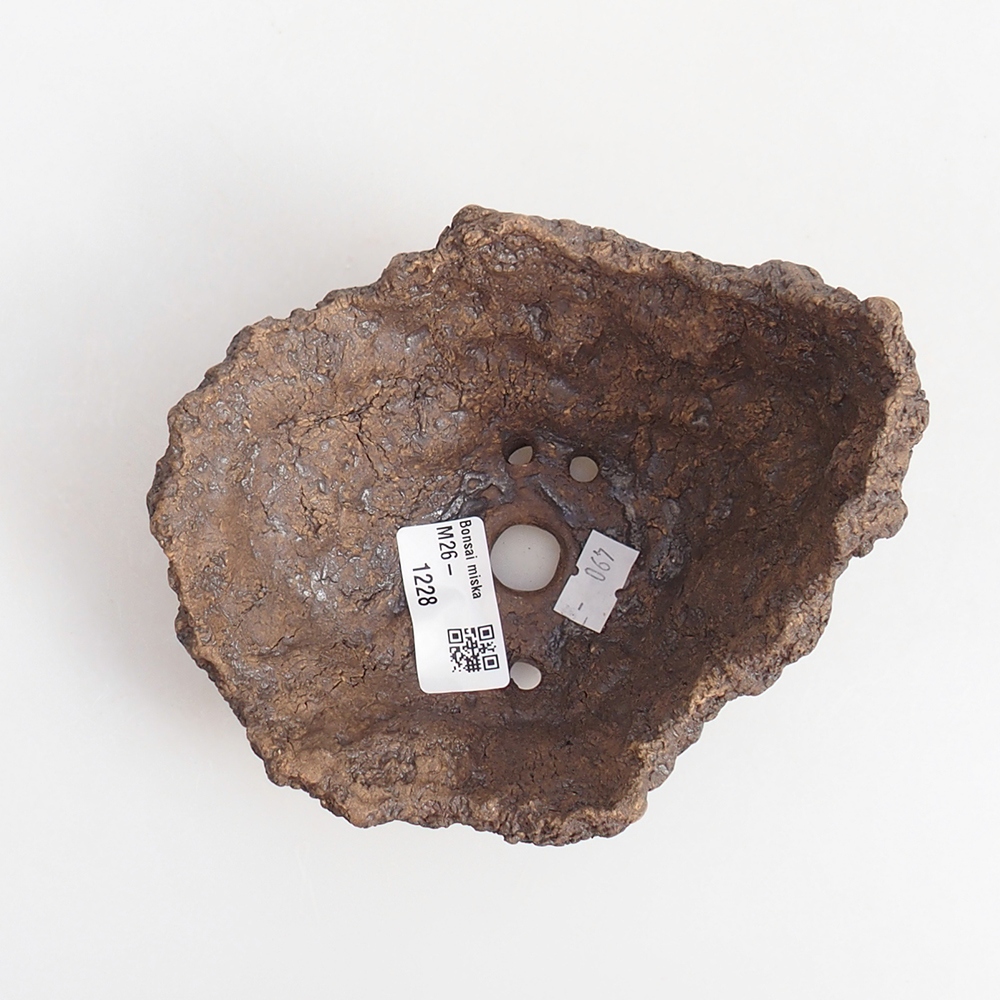 Keramická mušľa 13 x 11 x 11 cm , farba hnedá