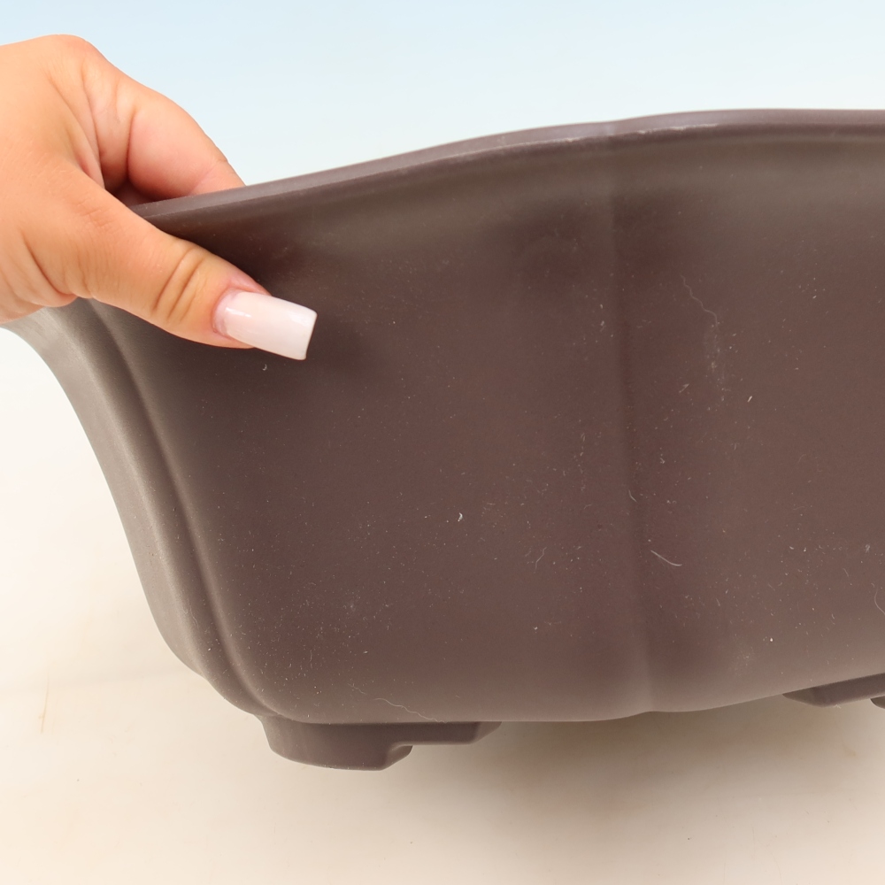 Plastová miska na bonsaje MP-31, hnedá – 39,5 × 37,5 × 14,5 cm